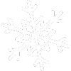 snowflake icon